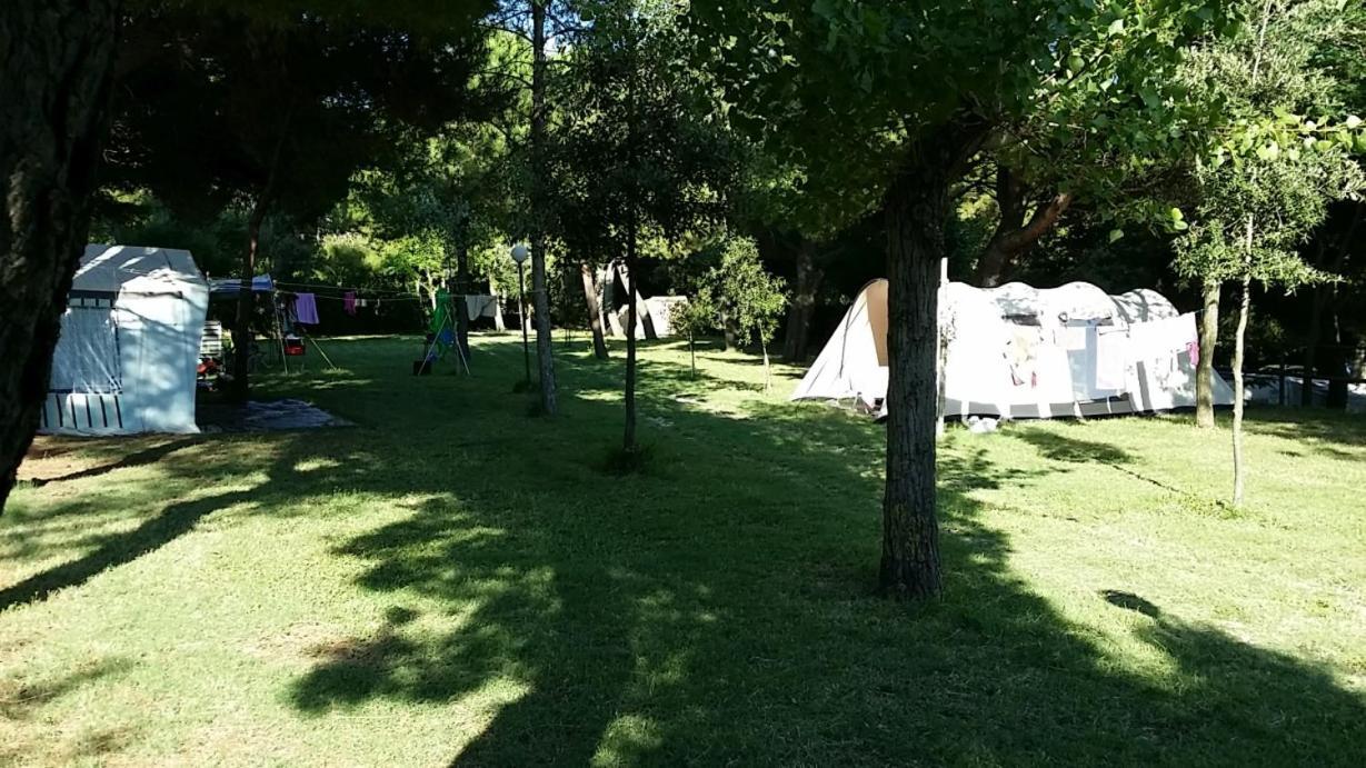 Paradiso 3*
