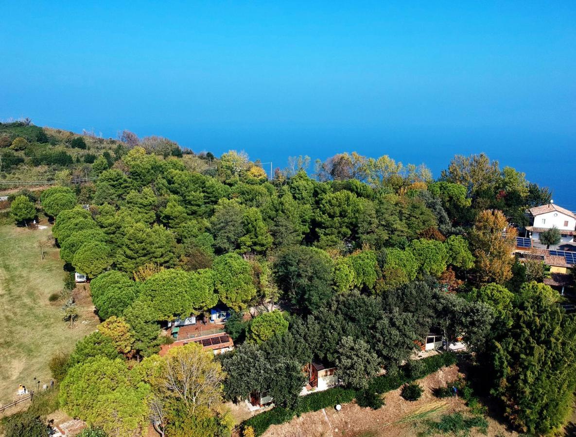 Paradiso 3*
