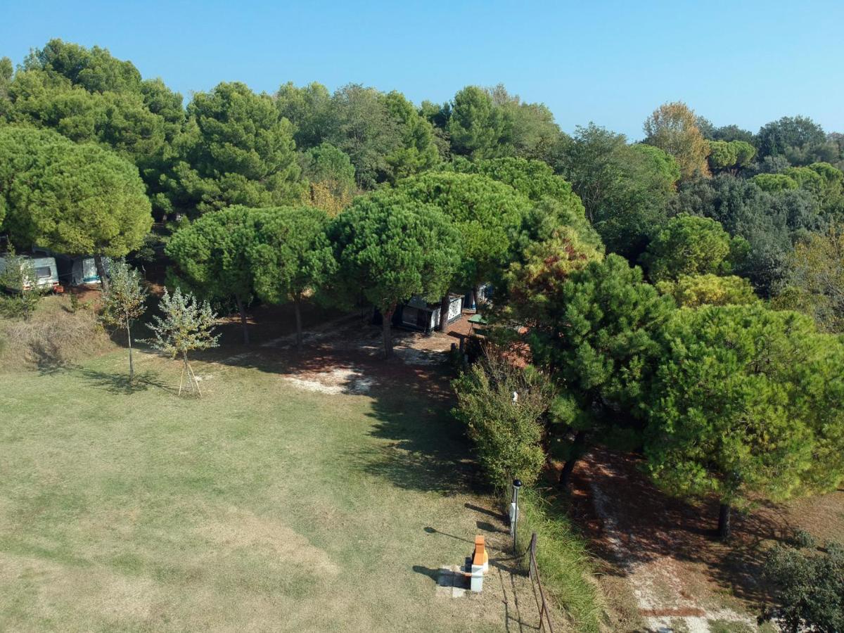 Campsite Paradiso Pesaro